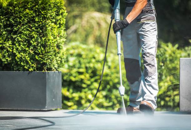Best Paint Preparation  in Red Lake, MN